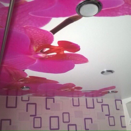 Посмотреть крупнее