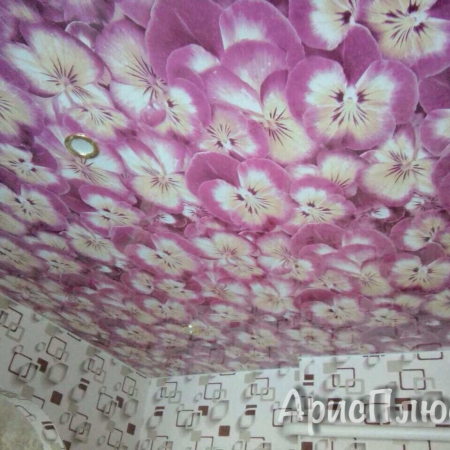 Посмотреть крупнее